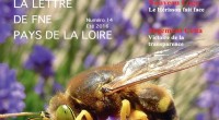 FNE Pays de la Loire vient de publier sa revue trimestrielle. Retrouvez notre actualité, nos actions ainsi que notre dossier sur les 40 ans de la loi de protection de […]