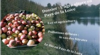 Le Numéro 6 de la revue trimestrielle de FNE Pays de la Loire vient de sortir. Cette revue vous permettra de découvrir les actualités de notre fédération régionale et les […]