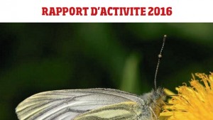 Rapport_activite_2016