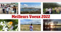 Jean-Christophe Gavallet, président, et l’ensemble des administrateurs et de l’équipe salariée de France Nature Environnement Pays de la Loire vous souhaitent une belle et heureuse année 2022. Article publié le […]