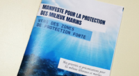 Les associations de protection de la nature du mouvement France Nature Environnement sont de longue date engagées pour la préservation et la sauvegarde des écosystèmes marins. Sur la façade Nord […]