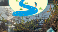 En 2022, FNE Pays de la Loire lance le projet « Ma rivière sans plastique » (MRSP) ! En quoi cela consiste-t-il ? L’objectif est d’organiser plusieurs opérations de ramassage de déchets […]