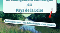 Du 6 avril au 31 juillet 2021, FNE Pays de la Loire va parcourir les bibliothèques et médiathèques du bassin de l’Authion pour y installer son exposition sur le changement […]