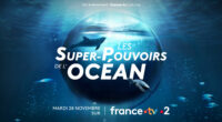 Ce mardi 28 novembre a lieu sur France 2 une grande soirée de sensibilisation et d’action face au défi climatique, qui va mettre à l’honneur les océans. Organisée par France […]