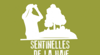Durant la période de nidification et de reproduction des oiseaux, ce printemps, France Nature Environnement Pays de la Loire invite les citoyens et citoyennes à agir pour la préservation du […]